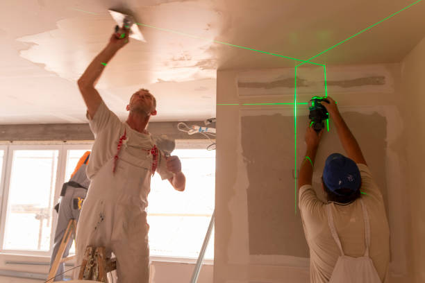 Best Drywall Removal and Disposal  in Eldorado, TX